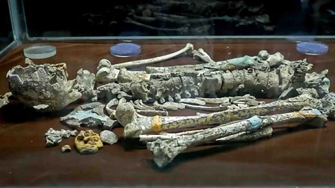 Kit Yeng Chan The remains of the Perak Man can be found at Lenggong Archeological Museum (Credit: Kit Yeng Chan)
