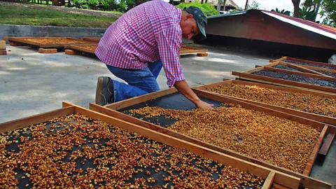 Café Jesus Martin Martin is determined to bring good quality coffee back to Colombia (Credit: Café Jesus Martin)