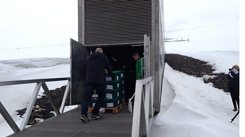 A guided tour through the Svalbard Seed Vault in the Arctic Circle