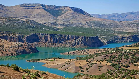 van der Meer Marica/Alamy Gutman’s tattoos are inspired by markings found near the Euphrates River in ancient Mesopotamia (Credit: van der Meer Marica/Alamy)
