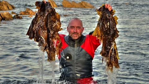 Lewis Mackenzie The sugar kelp which brings a unique flavour to Isle of Harris gin is hand harvested by local diver Lewis Mackenzie. (Credit: Lewis Mackenzie)