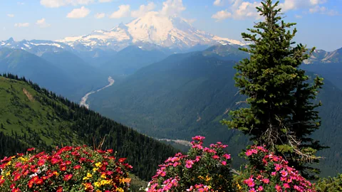 Annika Hipple Mount Rainier is a magnet for mountaineers (Credit: Annika Hipple)