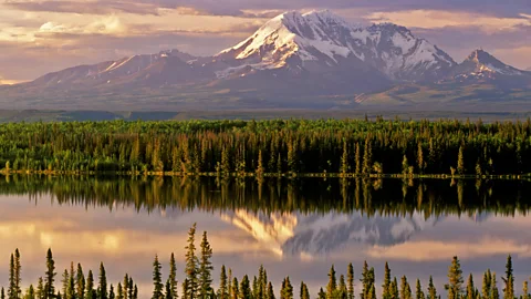 Calvin W Hall/Alamy Wrangell St-Elias was officially designated a national park in 1980 (Credit: Calvin W Hall/Alamy)