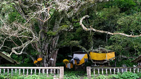 Theodora Sutcliffe The corpses are shielded by bright umbrellas (Credit: Theodora Sutcliffe)