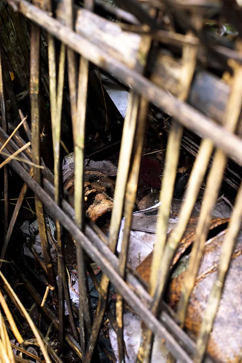 Theodora Sutcliffe There are 11 arched palm and bamboo cages in the cemetery (Credit: Theodora Sutcliffe)