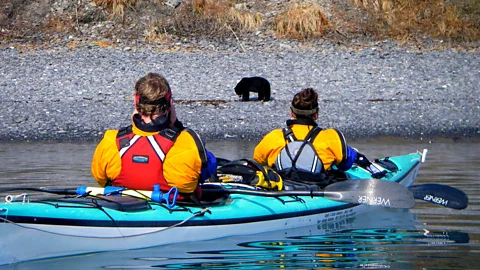 Kayak Adventures Worldwide Aialik Bay is an ideal place to spot wildlife (Credit: Kayak Adventures Worldwide)