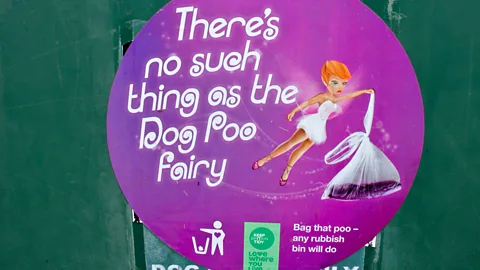 Alamy New industries are emerging in the unlikeliest place. (Credit: Alamy)