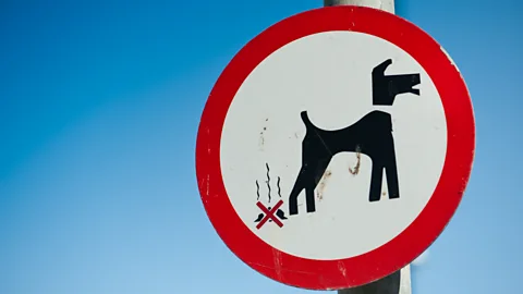 Alamy If there’s one thing that’s clear about this dirty business, it’s that it’s making a serious profit. (Credit: Alamy)