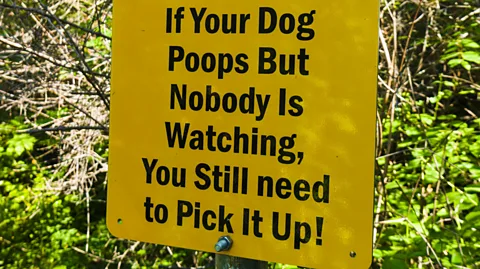 Alamy Are you a “poo-petrator”? (Credit: Alamy)