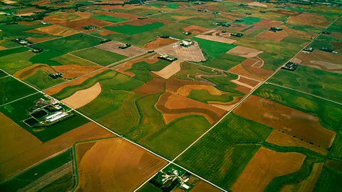 Alamy Not far from the University of Iowa campus, crops outnumber people. More than 3,000 Chinese students attended the university in 2016. (Credit: Alamy)