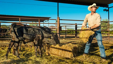 Marc Dozier Discovering what life as a cowboy is like (Credit: Marc Dozier)
