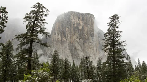 Trevor Lee "Ne vizituam Yosemite për një ditë dhe na ndryshoi jetën" (Krediti: Trevor Lee)