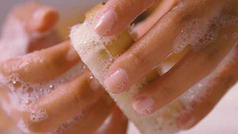 Getty Images Washing hands isn't enough - you have to make sure your finger nails are clean too (Credit: Getty Images)
