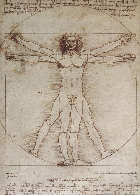 The Proportions of the Human Figure (After Vitruvius), Leonardo Da Vinci, c.1492, pen and ink