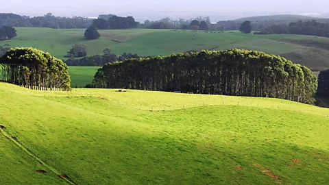 Getty Images The Australian state of Tasmania is actively looking to recruit British farmers (Credit: Getty Images)