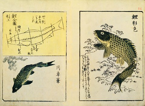 Swimming Carp, from A Picture Book Miscellany, Utagawa Hiroshige, 1849, woodblock print