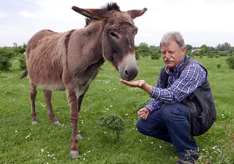 Kristin Vuković Vukadinović feeds one of his donkeys (Credit: Kristin Vuković)