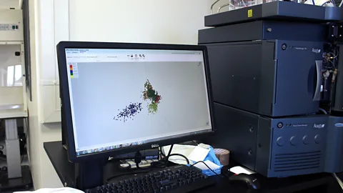 Chris Baraniuk By plotting the results of the smoke analyses, the team was able to differentiate species of fish (Credit: Chris Baraniuk)