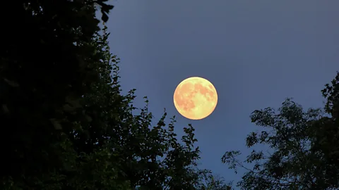 Getty Images Dreams appear to become more violent around the time of a full moon - but is this just a spooky coincidence? (Credit: Getty Images)