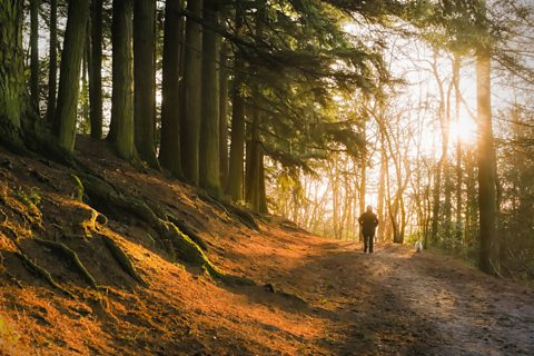 Could mindfulness really work for me?