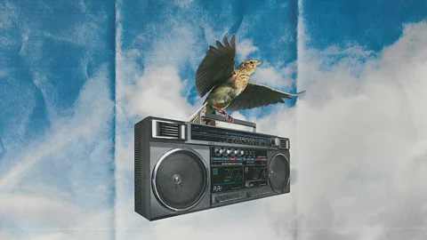 Olivia Howitt (Credit: Olivia Howitt)