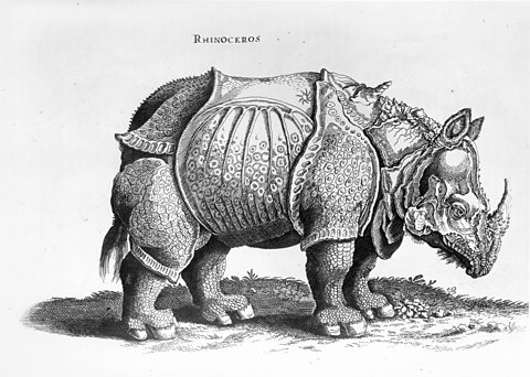 Rhinoceros, Albrecht Durer, c.1515