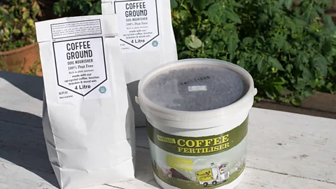 Greencup UK-based coffee company Greencup transforms 200-300 tons of used grounds each year into 100% organic fertiliser (Credit: Greencup)