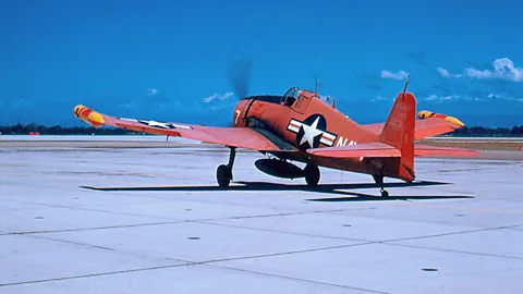 John Campbell (Credit: John Campbell)