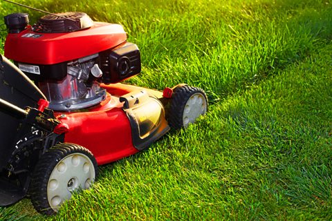 Lawnmower