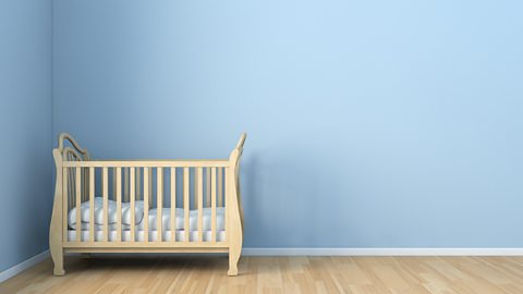 Baby's cot