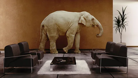 iStock Which animal would inherit the Earth? (Credit: iStock)