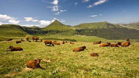 Alamy The word ‘summering’ was originally used for livestock but came to be applied to people as leisure time increased in the 19th Century (Credit: Alamy)