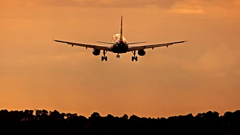 Alamy It's tempting to think the office will fall to bits if you take a holiday - but it's important to let colleagues take responsibility in your absence (Credit: Alamy)