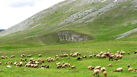 Boaz Rottem / Alamy The landscapes of the Dinaric Alps are dramatic and gorgeous (Credit: Boaz Rottem / Alamy)