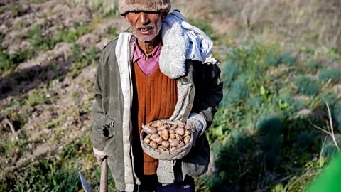Himanshu Khagta People grow vegetables to sell (Credit: Himanshu Khagta)