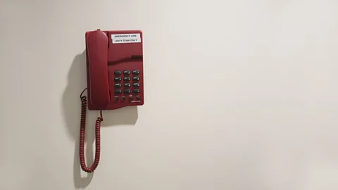 Olivia Howitt/BBC Future (Credit: Olivia Howitt/BBC Future)