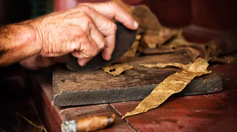 Getty Images Hand-rolled cigars are being kept aglow by a sizeable pool of avid collectors (Credit: Getty Images)