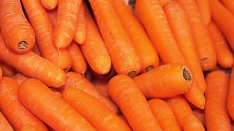 Carrots