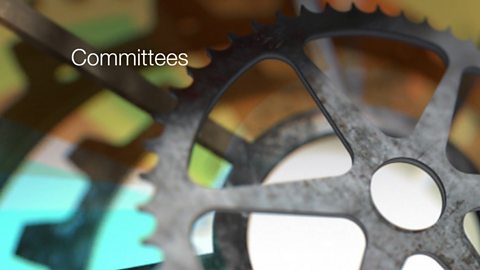 BBC Parliament Select Committees