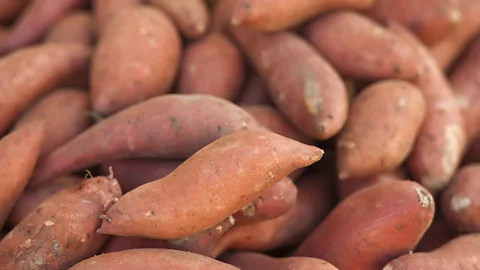 iStock Some communities continue to grow ancestral varieties of crops like yams – ones which could resist effects of climate change (Credit: iStock)