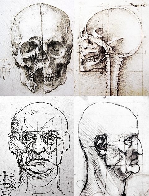 Sketches of the Human Head, Leonardo da Vinci, c.1489-90, pen and ink