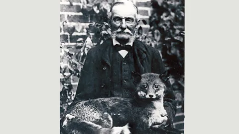 The Morbid Anatomy Museum, Brooklyn Potter’s taxidermy won him fame beyond his home town – his museum became a popular tourist destination (Credit: The Morbid Anatomy Museum, Brooklyn)