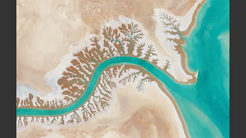 Shadegan Lagoon, Iran