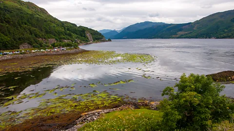 Amanda Ruggeri (Credit: Amanda Ruggeri)