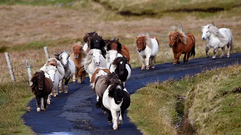 Jeff J Mitchell (Credit: Jeff J Mitchell)