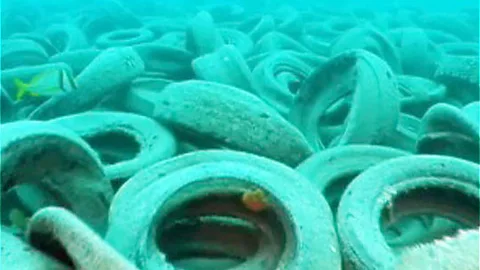 Wikipedia/Public Domain Throwing tyres into the ocean used to be thought a good way to build reefs, but failed, and now requires extensive clean-ups (Credit: Wikipedia/Public Domain)