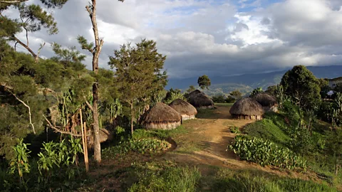 iStock (Credit: iStock)