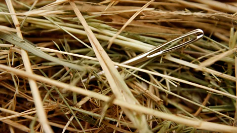 Alamy Finding out exactly where in the past a proverb emerged is a tough task, akin to looking for a needle not just in a haystack, but in the entire farmland (Credit: Alamy)