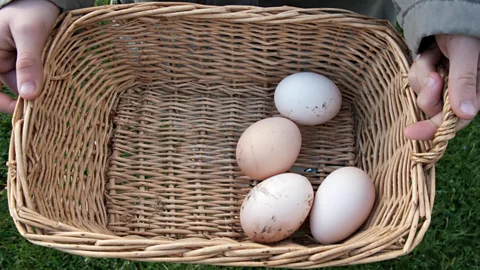 Alamy Every proverb has to start somewhere — but where? (Credit: Alamy)