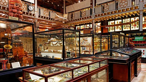 Ben Lerwill Rather than being arranged by age or geography, the items on display are clustered by purpose or use (Credit: Ben Lerwill)